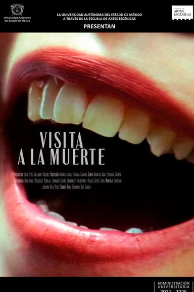 Visit to Death poster