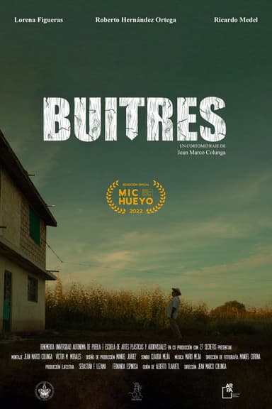 Vultures poster