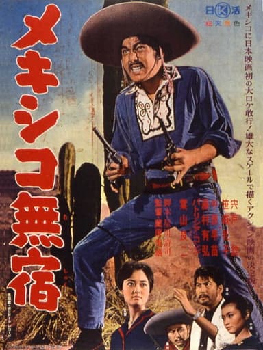 Mexico Drifter poster