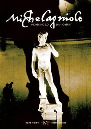 Michelangelo: A Self Portrait poster