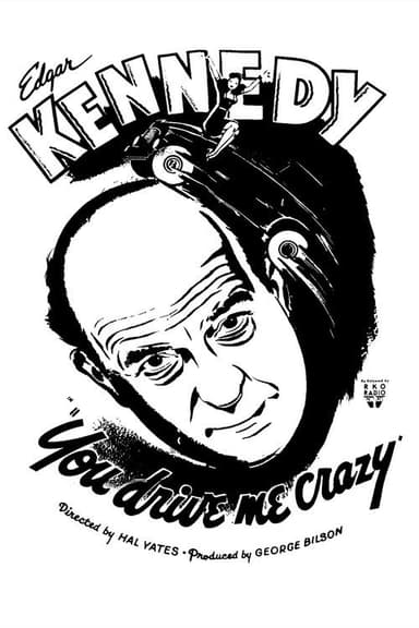 You Drive Me Crazy poster