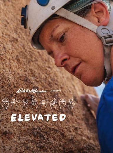 Elevated poster