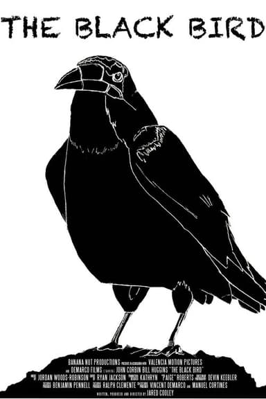 The Black Bird poster