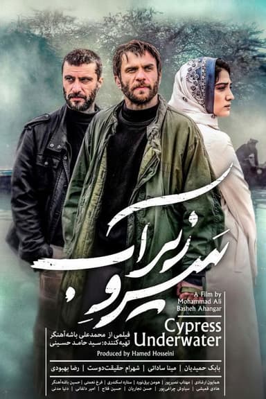 Cypress Under Water poster