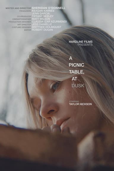 A Picnic Table, At Dusk poster
