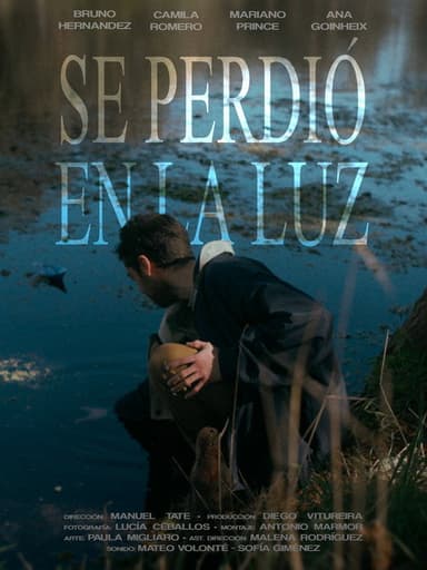 Se Perdió en la Luz poster