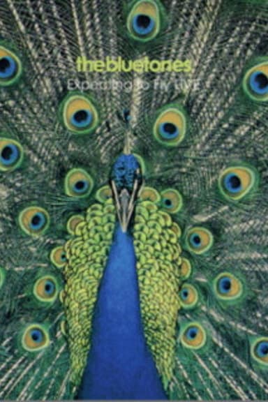 The Bluetones: Expecting To Fly Live poster