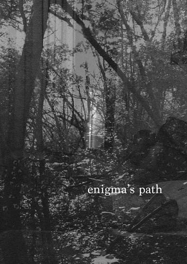 Enigma's Path poster