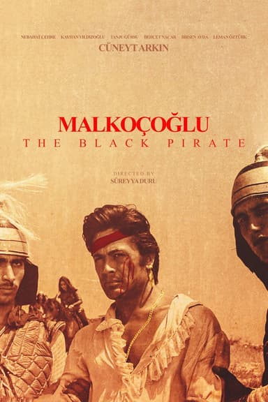 The Black Pirate poster