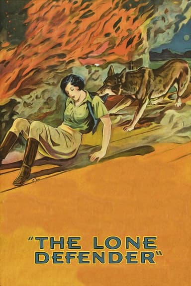 The Lone Defender poster