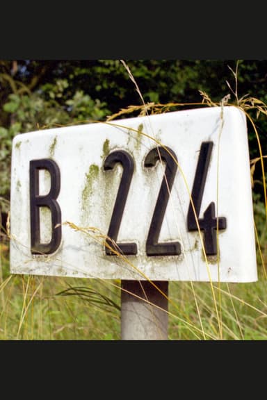 B 224 poster
