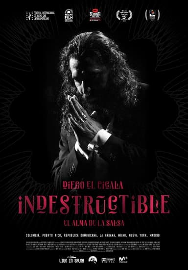 Indestructible: El alma de la salsa poster
