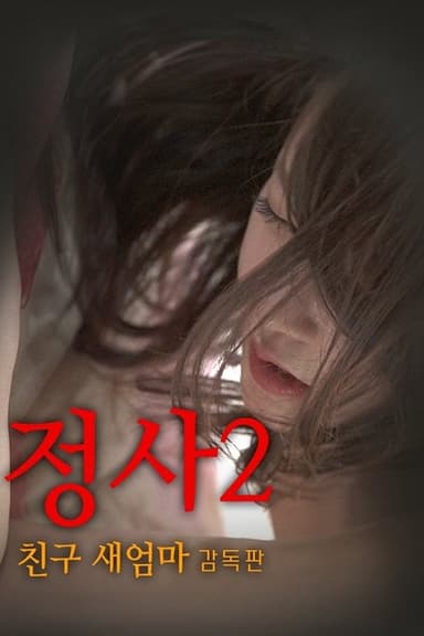 An Affair 2: My Friend's Step Mother poster