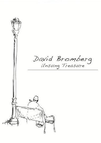 David Bromberg: Unsung Treasure poster
