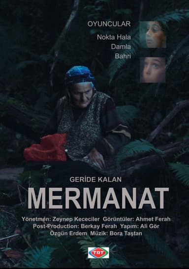 Geride Kalan Mermanat poster