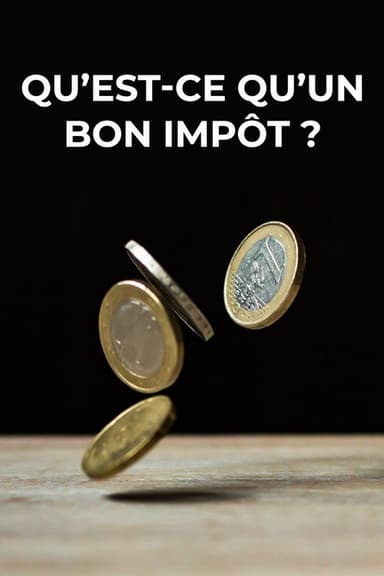 What Is a Good Tax? poster