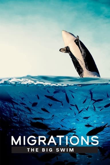 Migrations: The Big Swim poster