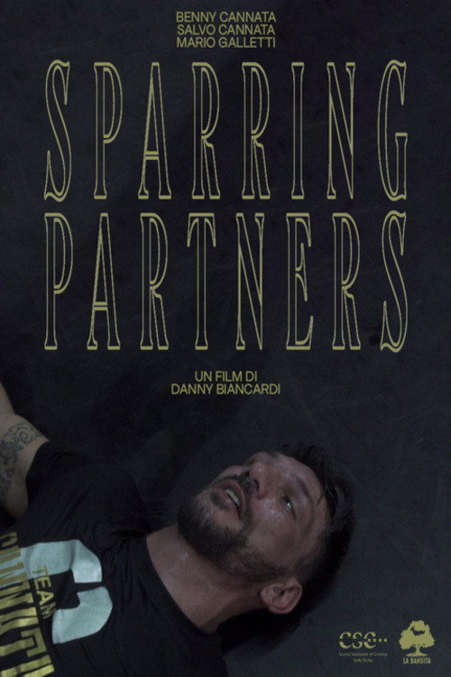 Sparring Partners poster