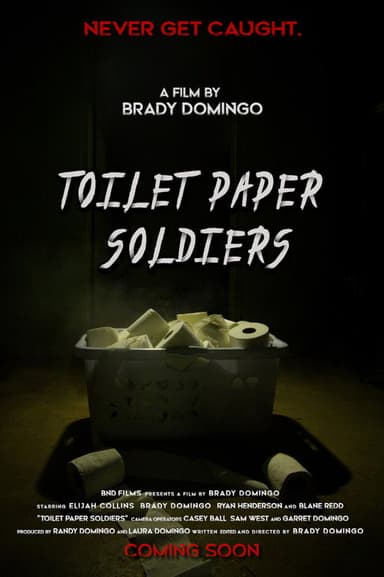 Toilet Paper Soldiers poster