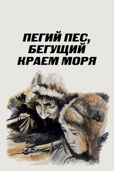 Spotted Dog Running at the Edge of the Sea poster