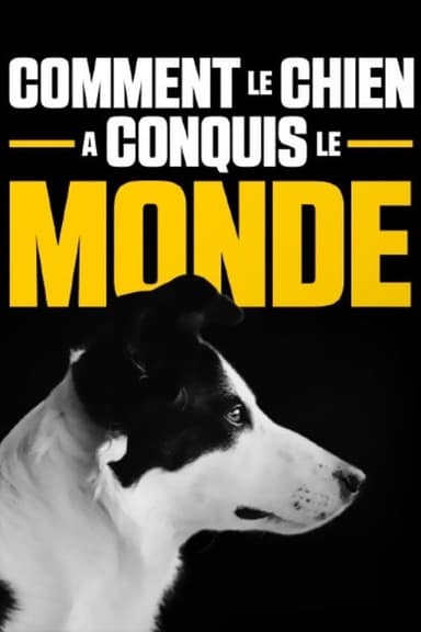 How dogs conquered the world poster