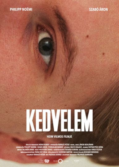 Liked it poster