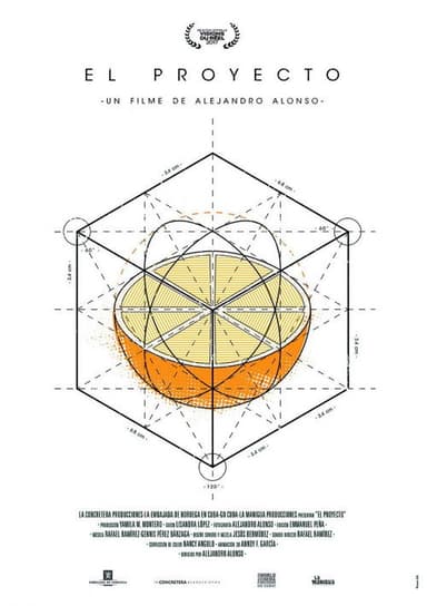 The Project poster