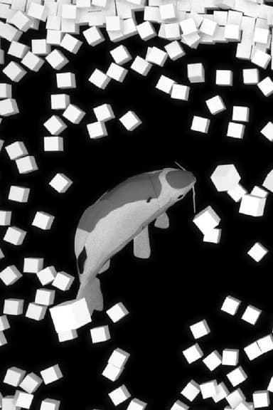 Koi poster