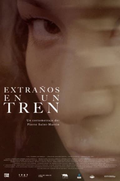 Extraños en un tren poster