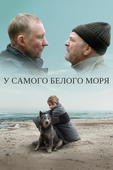 By The White Sea poster