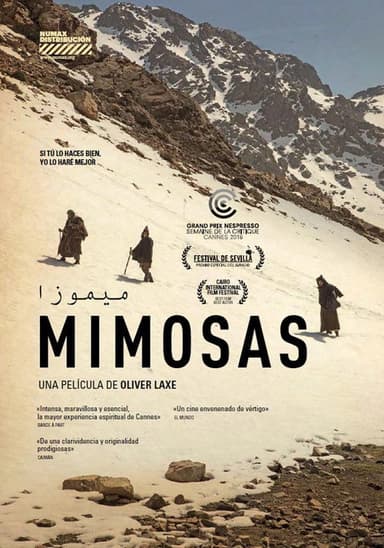 Mimosas poster