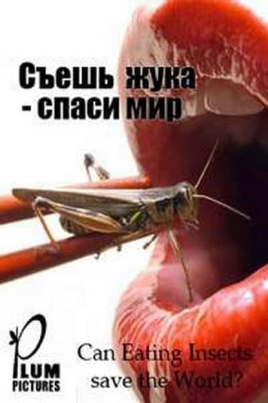 Can eating insects save the world? poster