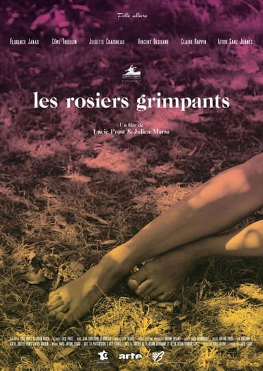 The Climbing Roses poster