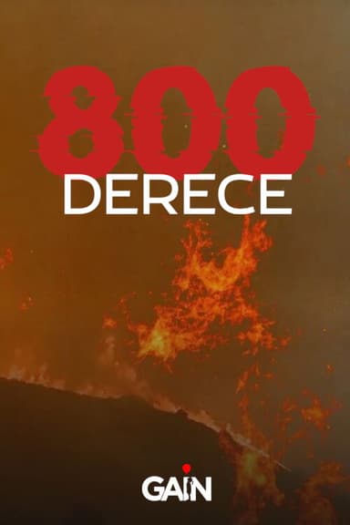 800 Derece poster