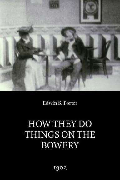How They Do Things on the Bowery poster