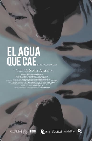 The Falling Water poster