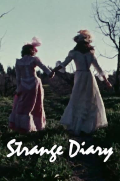 Strange Diary poster