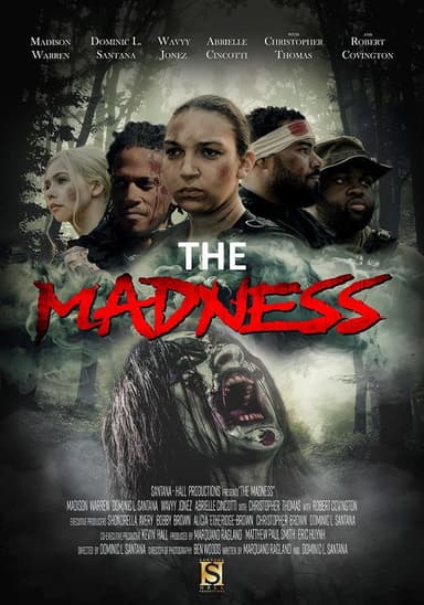 The Madness poster