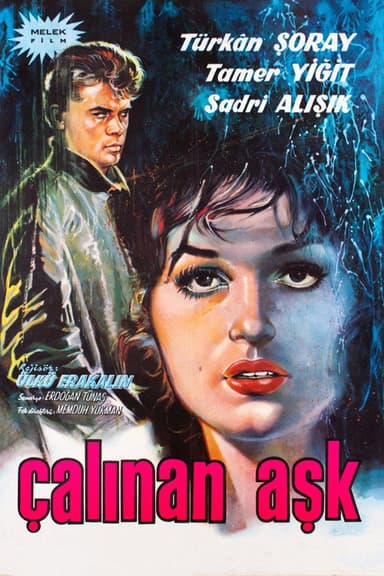 The Stolen Love poster