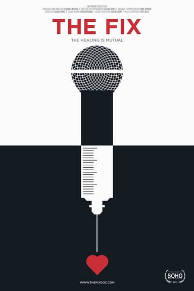 The Fix poster