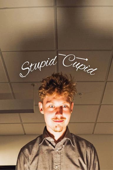 Stupid Cupid poster