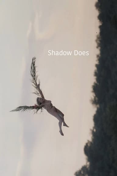 Shadow Does poster