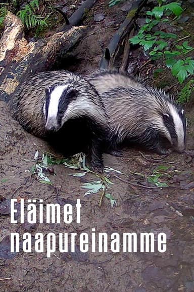 Animals as Our Neighbors poster