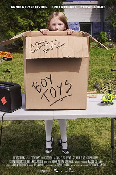 Boy Toys poster