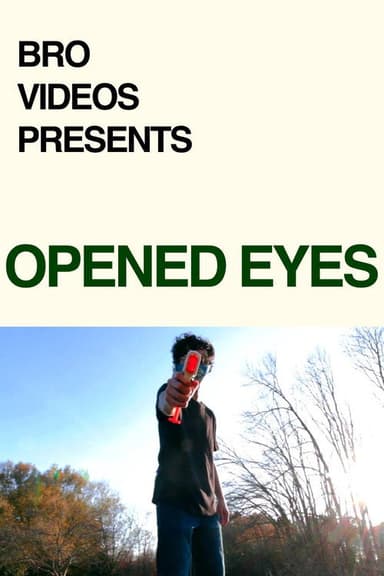 Opened Eyes poster