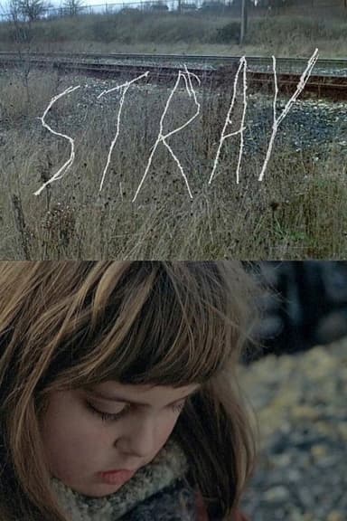 Stray poster