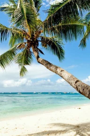 21 Sexiest Beaches poster