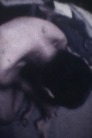 Film/Fragment for Strings, Percussion and Celesta poster