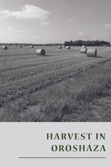 Harvest in Orosháza poster