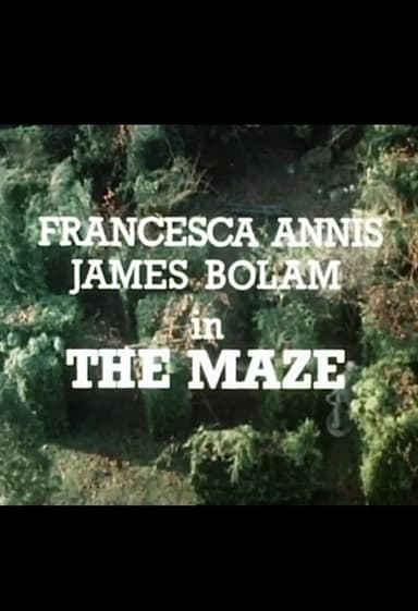 The Maze poster